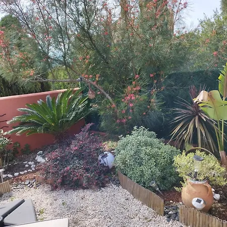 Le Petit Atelier Holiday home Bormes-les-Mimosas
